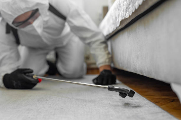 Professional Cockroach Control technician working in Princeton, WI